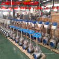 Low Temperature Globe Valve